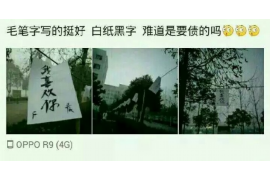 昌乐昌乐的要账公司在催收过程中的策略和技巧有哪些？